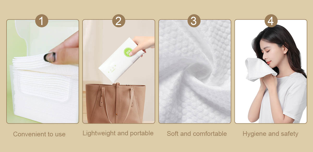 Asciugamano monouso (2)