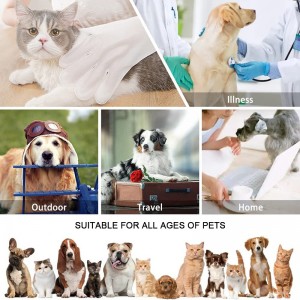 Pet Wet Wipes (8)